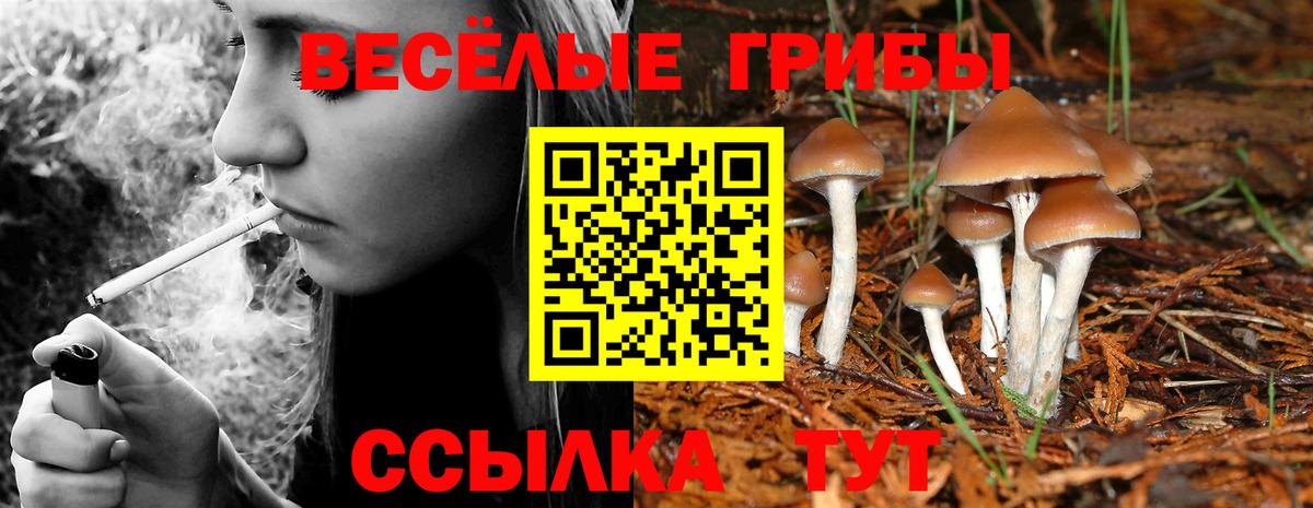 наркошоп  Галлюциногенные грибы Cubensis  Вход с VPN  Шали 