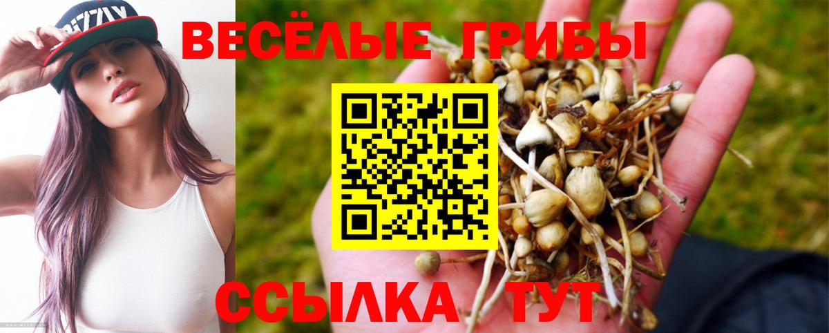 Галлюциногенные грибы прущие грибы Шали