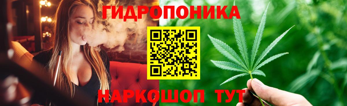 Конопля сатива  МАРИХУАНА Bruce Banner  Шали  Шишки марихуана план  МАРИХУАНА MAZAR  Вход с VPN 